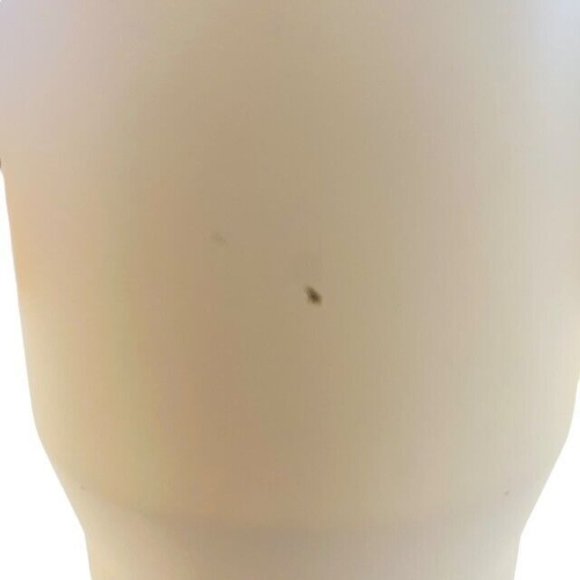 Stanley The Iceflow Flip Straw Tumbler 30 oz Polar White *Flaw* - Picture 11 of 13